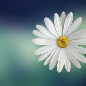 Profile picture - BabyLizzi