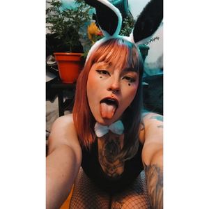 Bunny Sammy Profile picture - Bunny Sammy