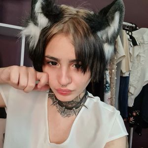 Shiromi Nyan Profile picture - Shiromi Nyan