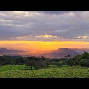 Model - Iris Moira curvy