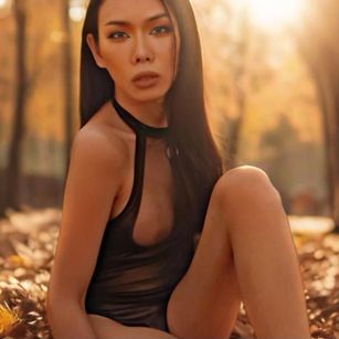 Lalinda_Cobra Trans Model - Lalinda_Cobra Trans