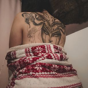 Sofips anal Model - Sofips anal