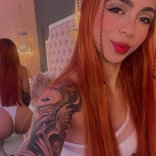 Polygonnia latina Model - Polygonnia latina