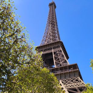 Model - orange_melani show