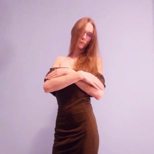 Model - Chirostenotes toy