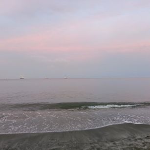 sofia_4roses slave Model - sofia_4roses slave