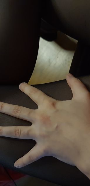 Model - TheTrixy roleplay