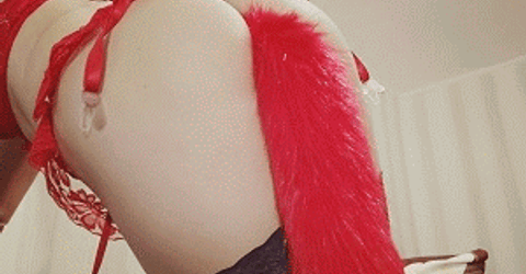 Red Fox Profile picture - Red Fox