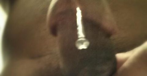 champangepapii Profile picture - champangepapii