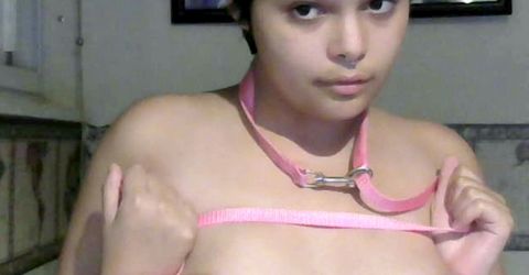 lovelypetgirl Profile picture - lovelypetgirl