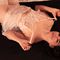 Profile picture - Susana Joyce