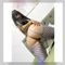 AnnaBlake Profile picture - AnnaBlake