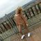 Profile picture - SherillSmith