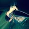 Profile picture - Koray