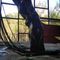 Profile picture - Chapterpinky