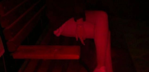 Model - Amber pussy