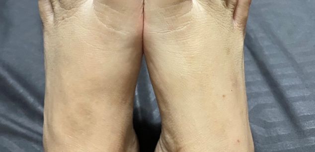 Model - Lilly village