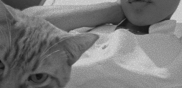 Model - Sara Sofia bdsm