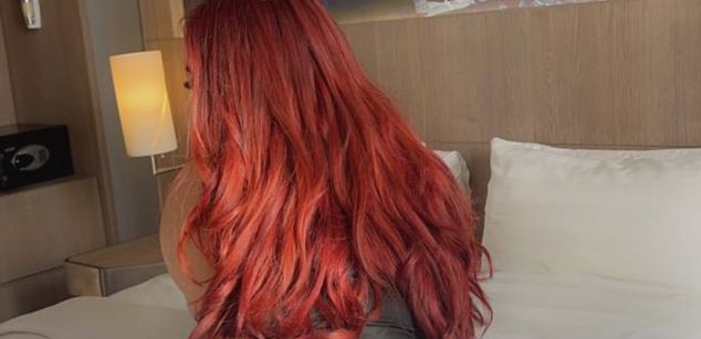 Model - Asian Anal Queen dildo