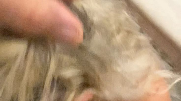 cumshot to the face