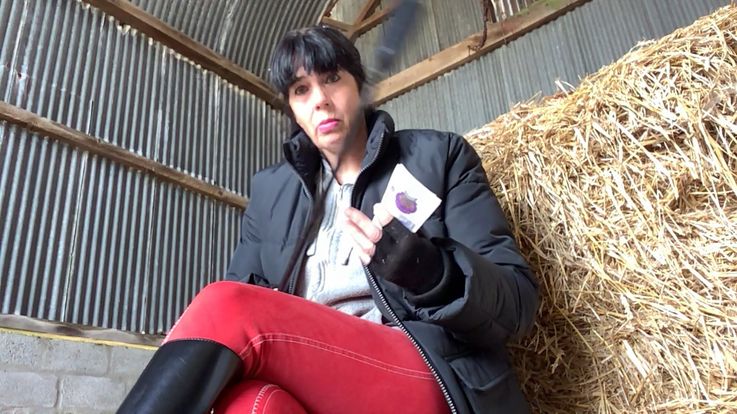 So How Much Are You Going To Give Me?