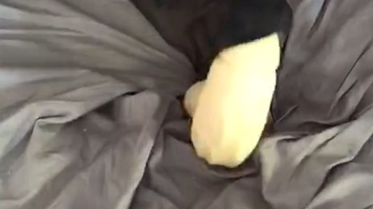 I caress your cock with my legs in stockings