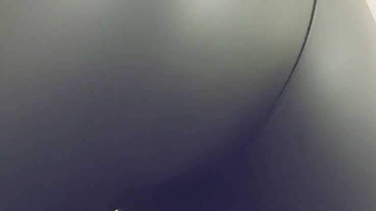 Perfect ass in leather for my hungry addicted dogs