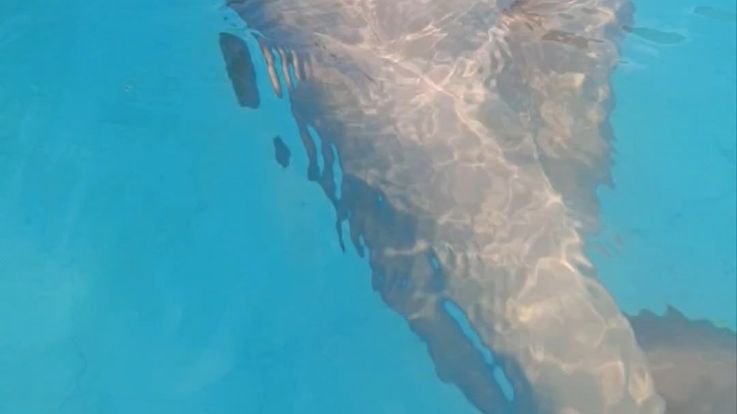 Fun pool
