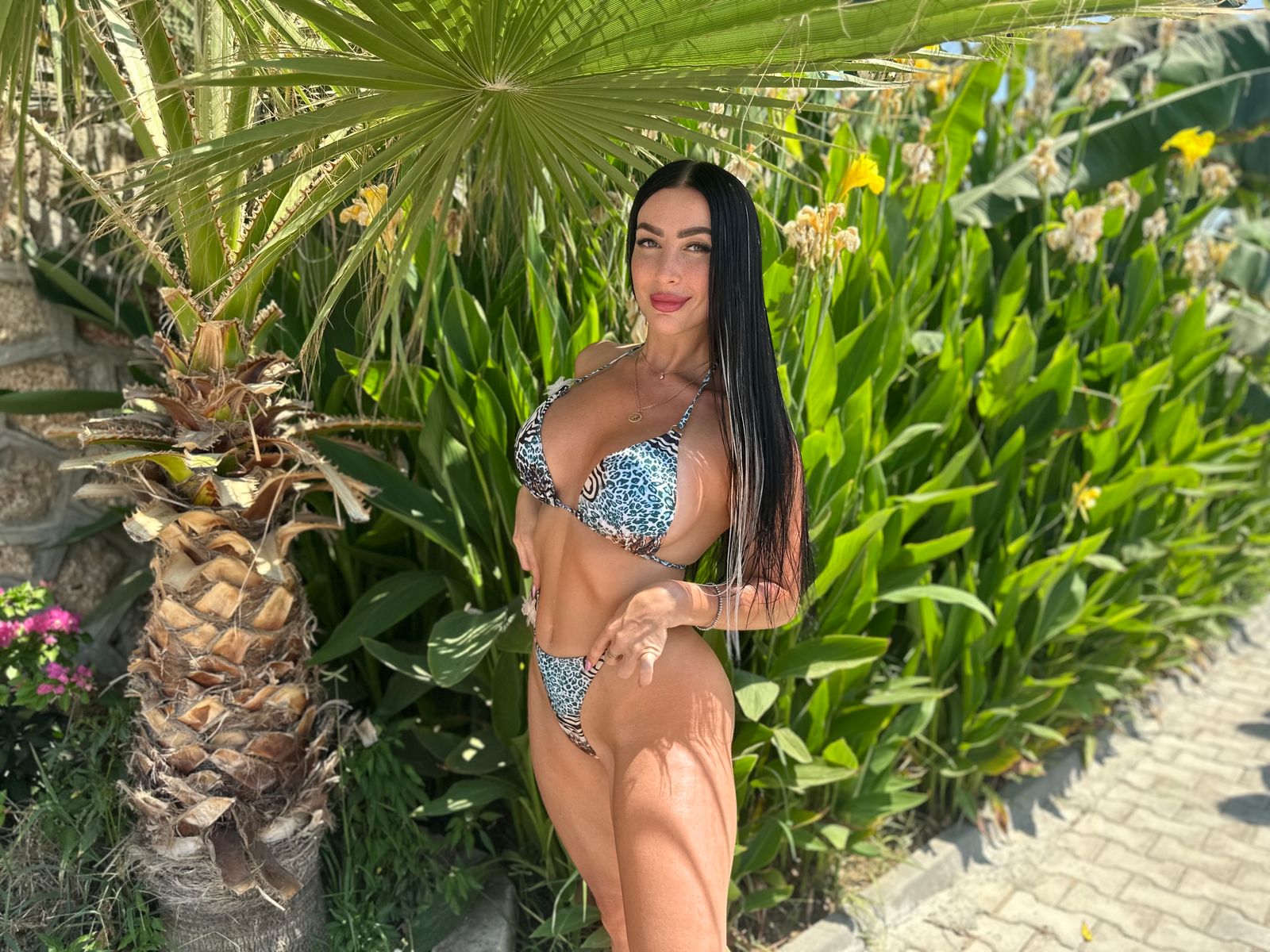 Anelinsa
