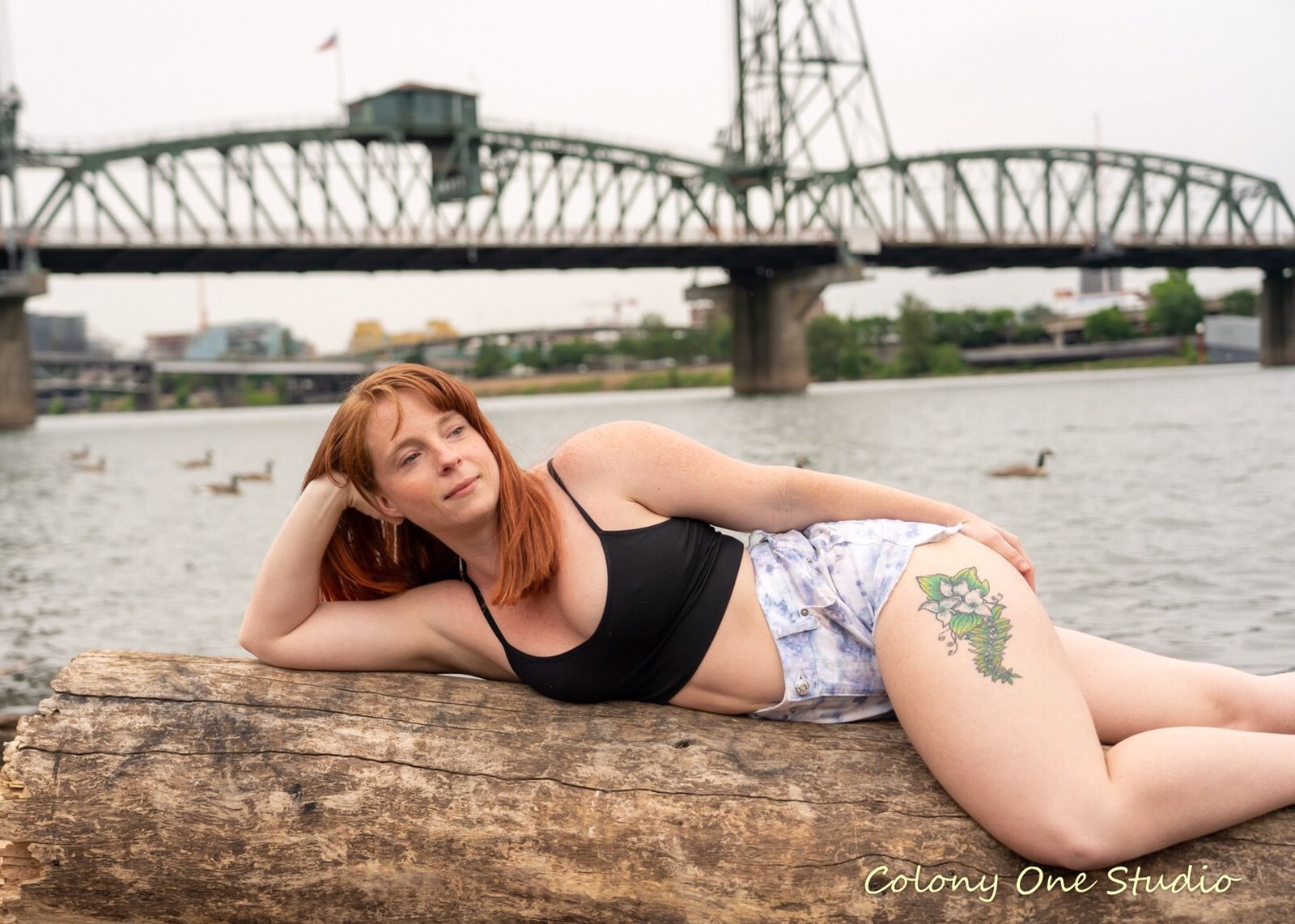 Gallery Photo