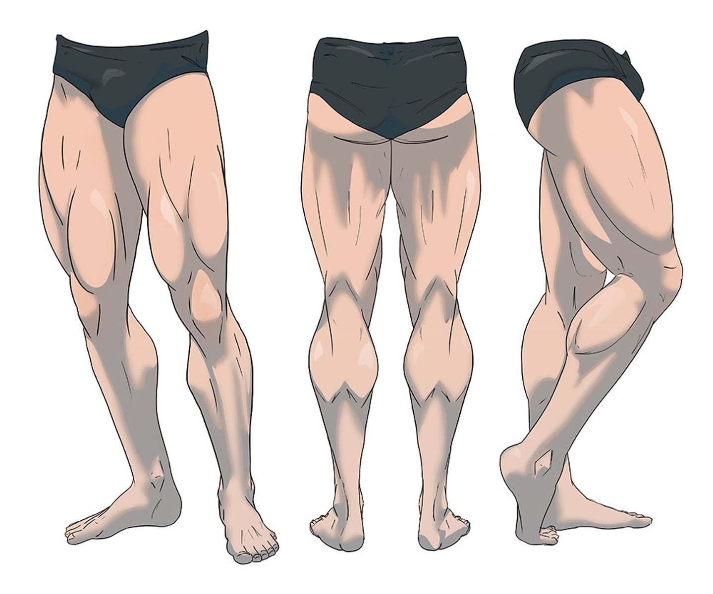 Legs comics. Ноги референс. Мышцы ног референс. Ноги мужские мышцы референс. Мужские ноги.