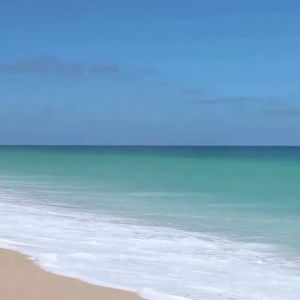 Profile picture - eloyxlatin 