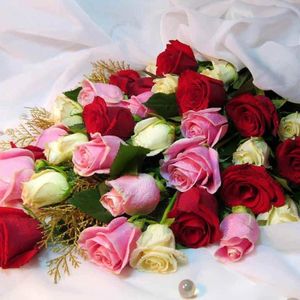 Profile picture - Emy