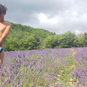 Profile picture - david_blue1