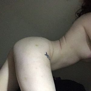 Profile picture - Kleine Katze