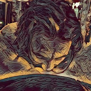 Profile picture - Cheerfilled