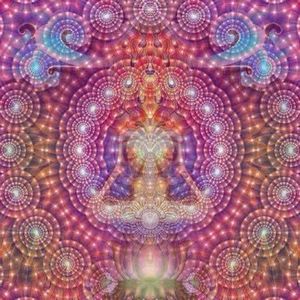 Profile picture - tomcat55bb