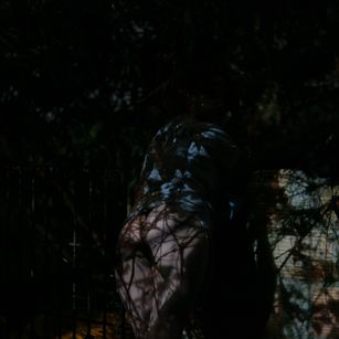 Model - Princes_Kitty dildo