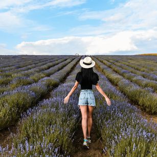 Model - Adda11 heels