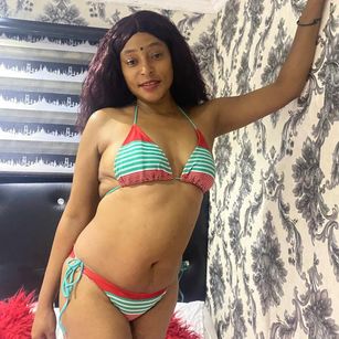 Model - MISS OCEAN doggy