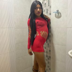 Model - Engelotcum Trans