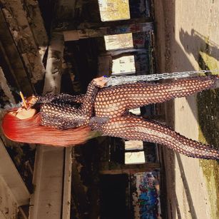 Model - RinnaQueenie nylons