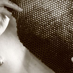 Model - Vixen Violet hairy