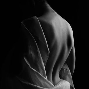 Model - Lean Beef Patty domina