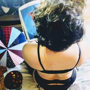 Model - Brandy shorthair