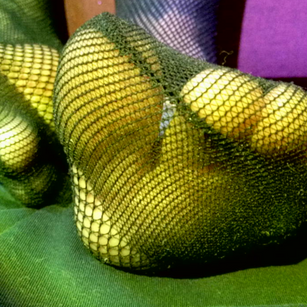 Model - Judyluna cei