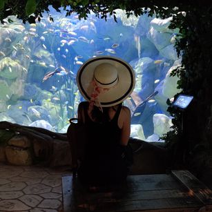 Model - Entitled Bitch mistress