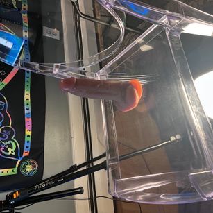 Model - Jack Strongbottom gape