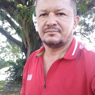 Model - dinamita963 Trans