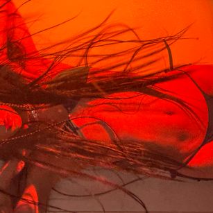 Model - Lumars Bigdick